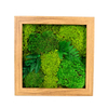 Small Size Moss Art Frame 
