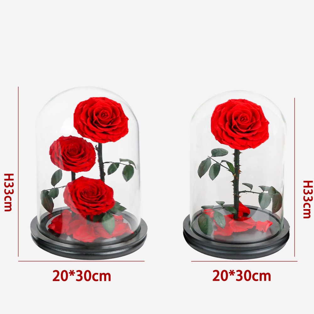 Rose in glass dome (9)