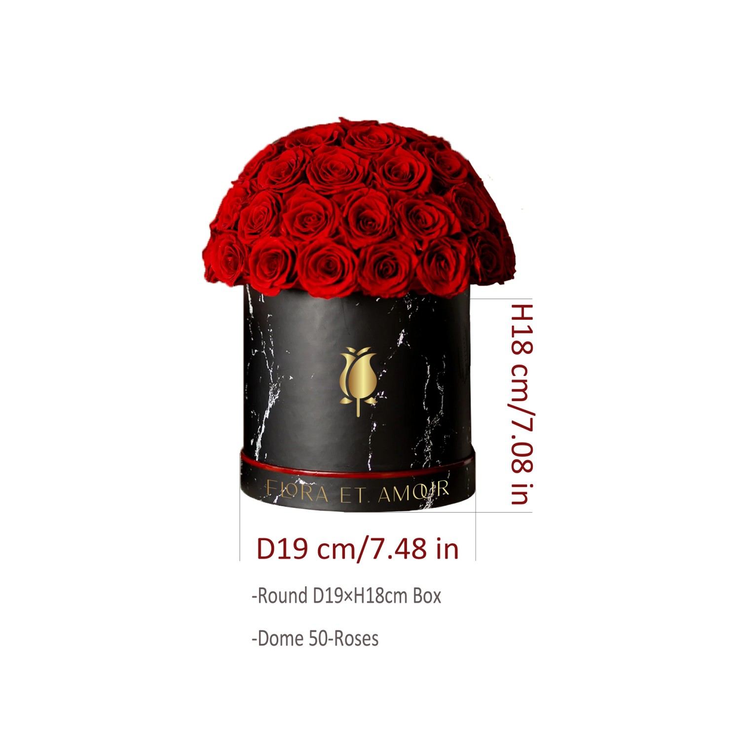 50 roses dome (8)