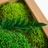 Preserevd Moss Art Frame