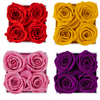 Roses in Square Box