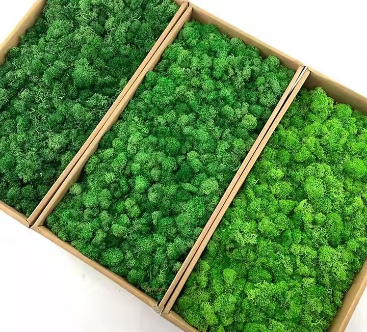 moss (1)