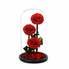 Rose in Glass Dome 