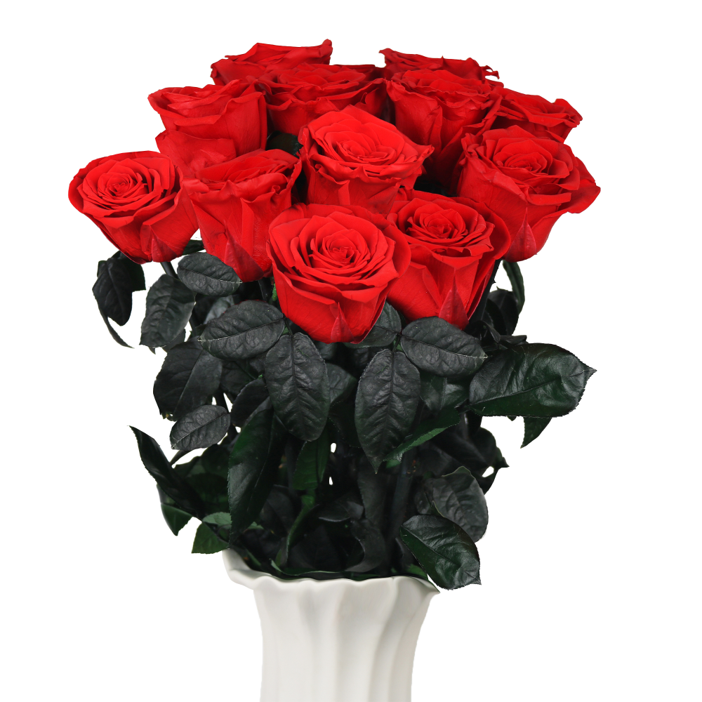 Long Stem Rose with High Vase (1)