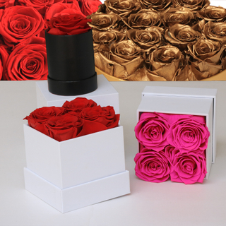 Gift Set
