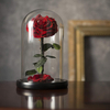 Rose in Glass Dome 