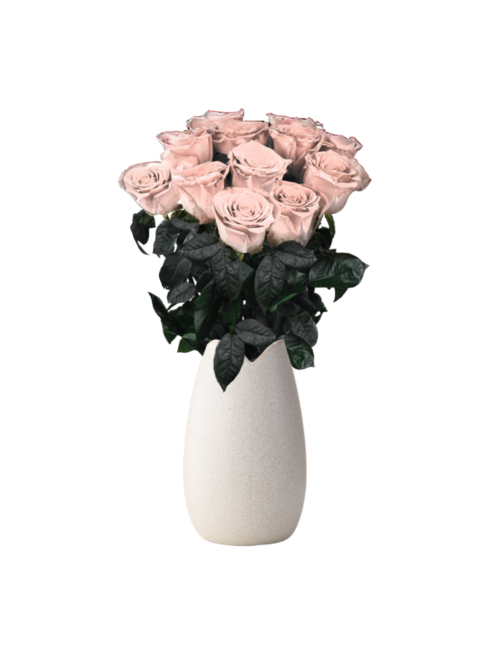 Long stem rose with short vase (2)