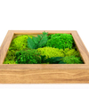 Small Size Moss Art Frame 