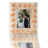 Acrylic Rose Photo Frame
