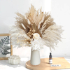 Preserved Bouquet with Pampas Grass