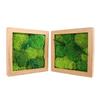 Small Size Moss Art Frame 