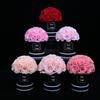 20 Mini Roses Dome