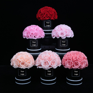 20 Mini Roses Dome
