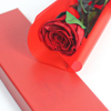 Long Stem Rose in Box