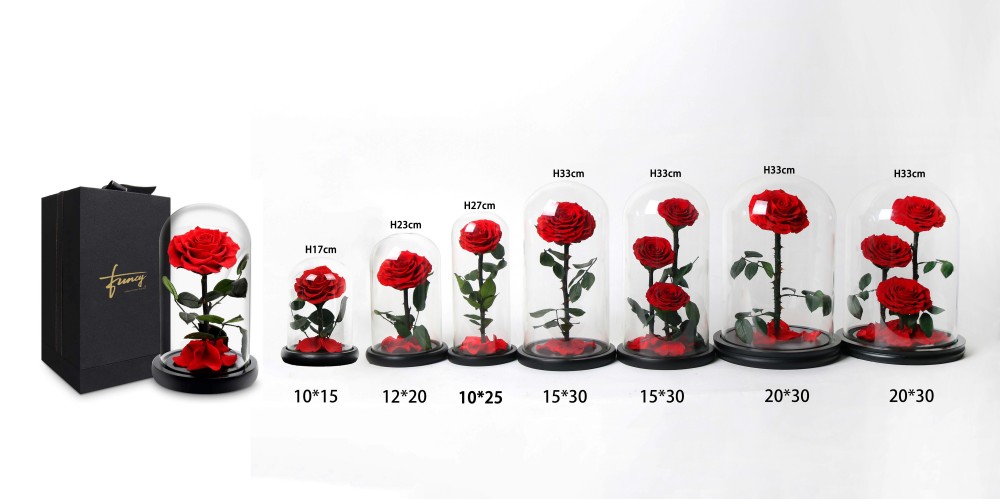 Rose in glass dome (7)