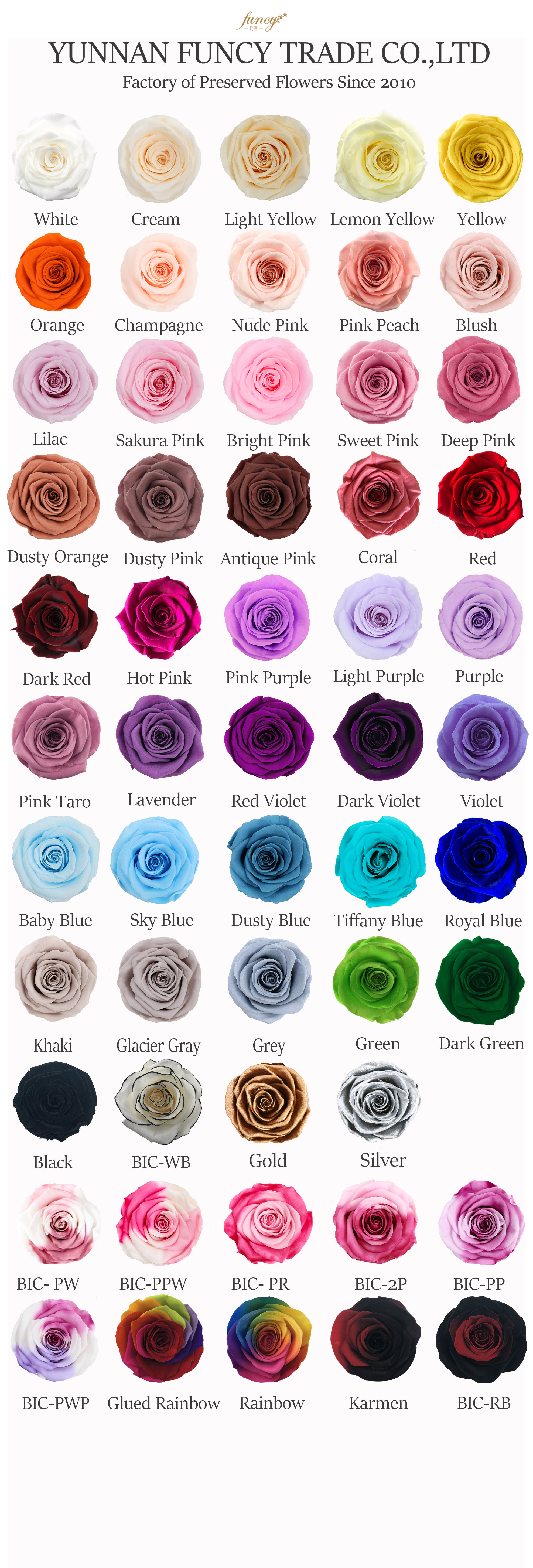 Rose color card