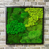 Preserevd Moss Art Frame