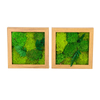 Small Size Moss Art Frame 