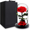 Rose in Glass Dome 