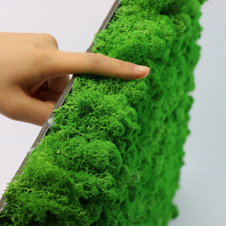 Preserevd Moss Panel-Apple Green 