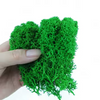 Preserevd Bulk Moss in Box
