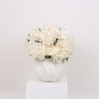 Hydrangea Dome with A Spiral Jar