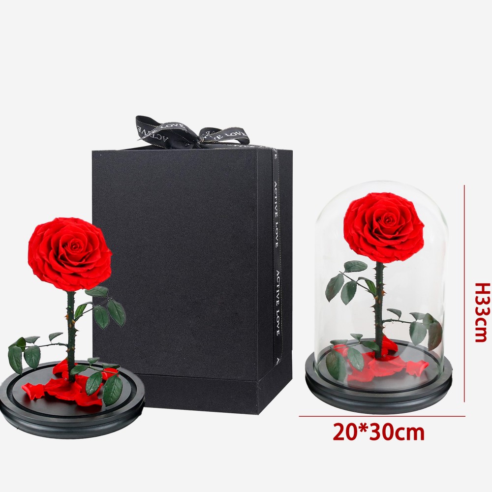 Rose in glass dome (8)