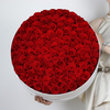 100 Roses in Round Box