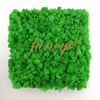 Preserevd Moss Panel-Apple Green 
