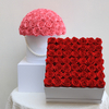 Rose Gift
