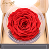 9-10cm size preserved rose