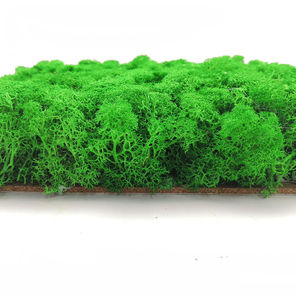 Preserevd Moss Panel-Apple Green 
