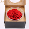 9-10cm size preserved rose