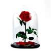 Preserved Rose in L Size Glass