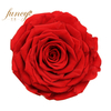 9-10cm size preserved rose