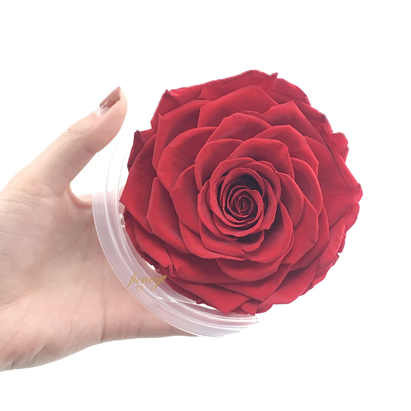9-10cm size preserved rose