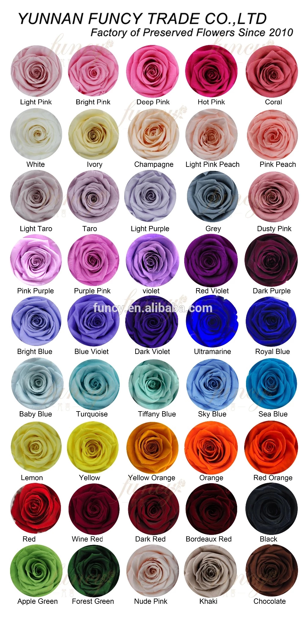 pure-color