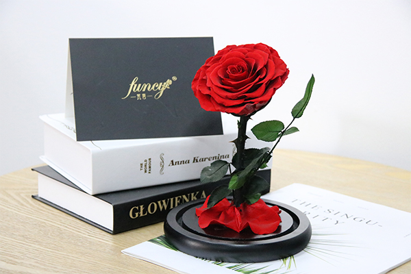 preserved rose 8