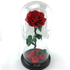 Preserved Rose in M Size Glass